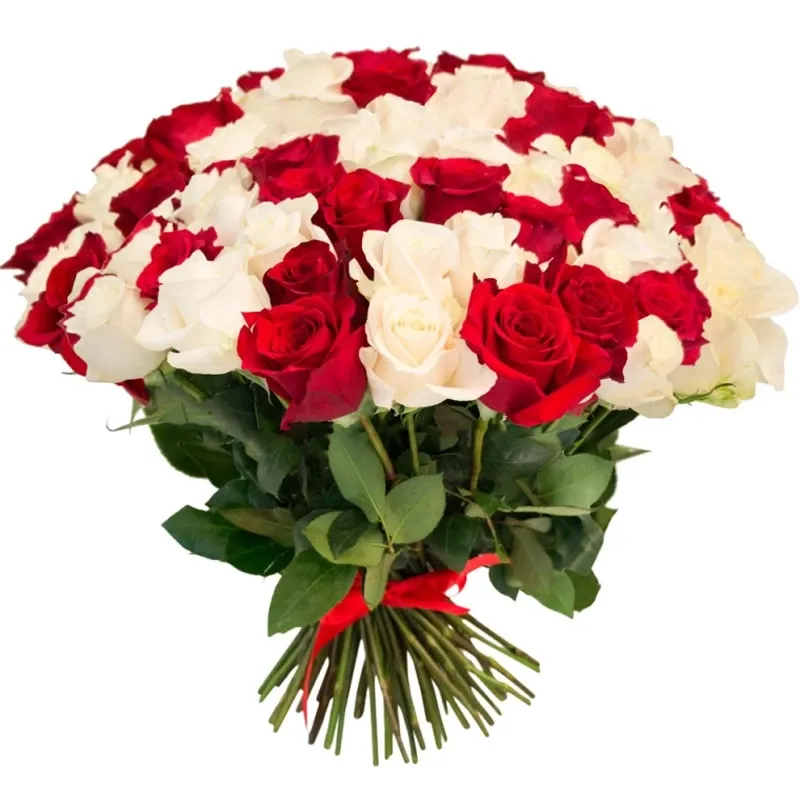 Розы Голландия микс красно-белый